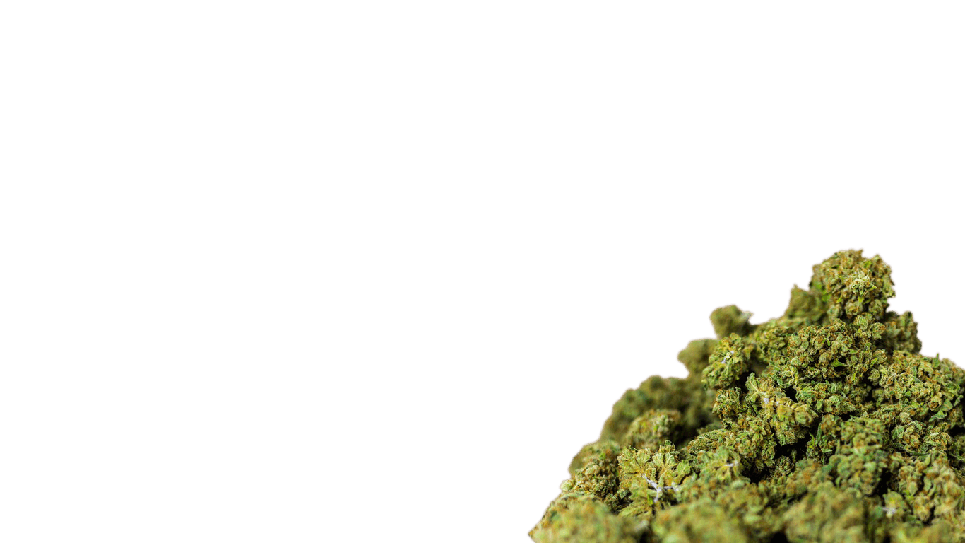 Fleurs de CBD